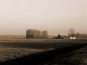 Campagna Maria Elisa Marino