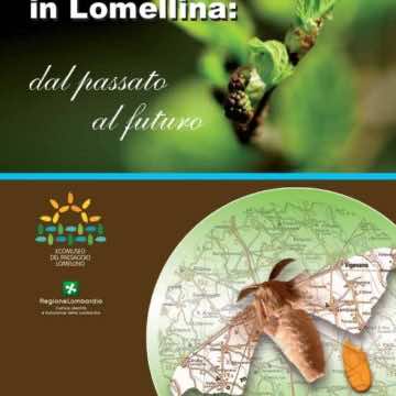 Bachicoltura in Lomellina – Dal passato al futuro