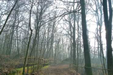 Campagna di Marco Motta