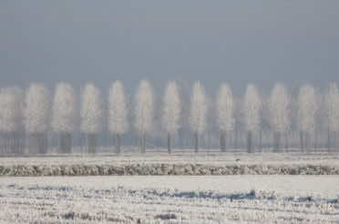 Inverno di Anna Maria Vantin