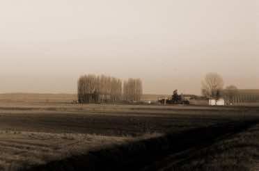 Campagna di Maria Elisa Mainino