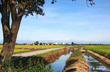 Paesaggio dalla cascina Marza