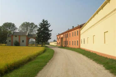 Azienda agricola Sala Virginio & figli – Ferrera Erbognone