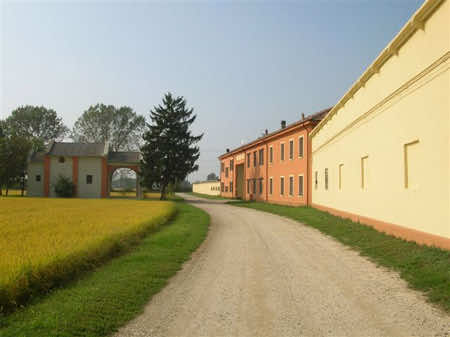 Azienda agricola Sala Virginio & figli – Ferrera Erbognone