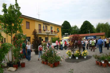 Comune di Pieve Albignola