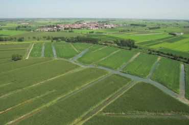 L’acqua della risaia non si disperde