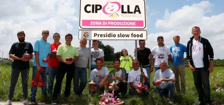 La cipolla rossa di Breme è presidio Slow food