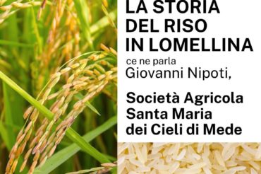 La storia del riso in Lomellina